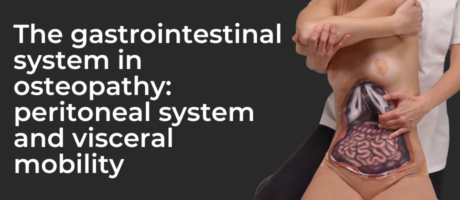 The Gastrointestinal System in Osteopathy: Peritoneal System and Visceral Mobility